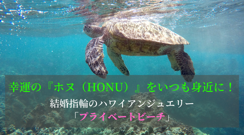 「ホヌ（ウミガメ）」はハワイアンジュエリーでいつも身近に！海好きには「プライベートビーチ」がおすすめ｜結婚指輪・婚約指輪ハワイアンジュエリー